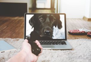 UPSSSC PET Online Form